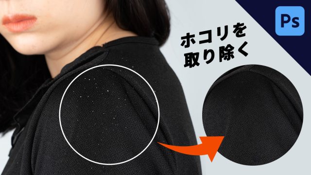 服 の ホコリ を 取る 方法